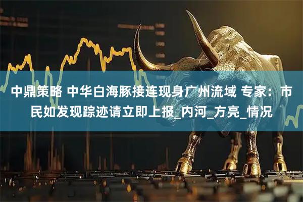 中鼎策略 中华白海豚接连现身广州流域 专家：市民如发现踪迹请立即上报_内河_方亮_情况